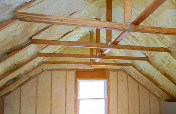Best Attic Insulation Installation  in St Peters, MO